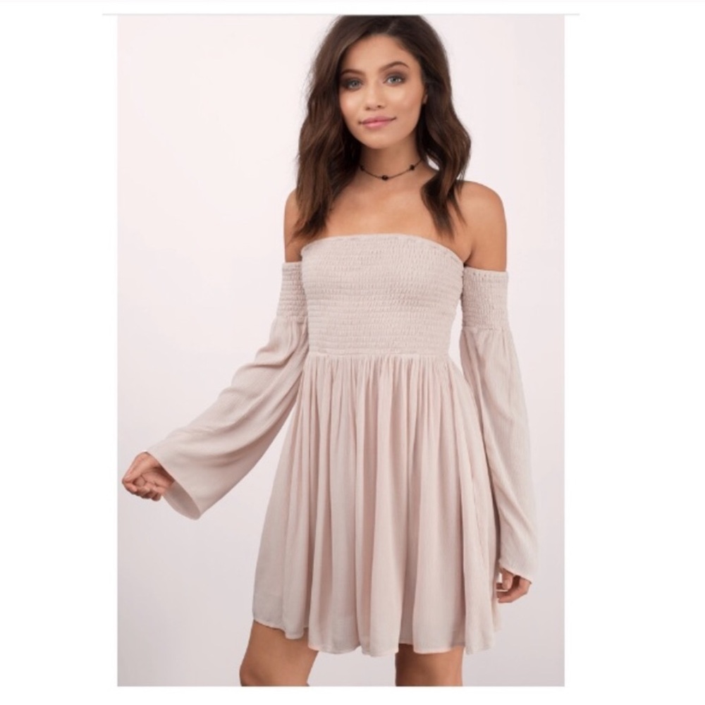 Tobi “Ellie skater dress” in Rose